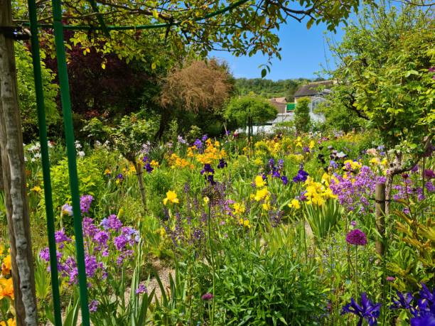 istock Claude Monet's garden in Giverny 1416943288