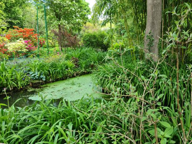 istock Claude Monet's garden in Giverny 1416943363