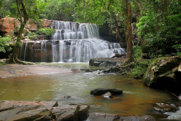 istock beautiful waterfall in green forest 1416943462