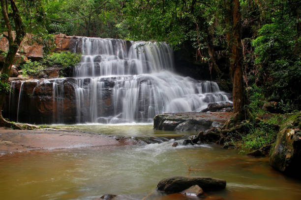 istock beautiful waterfall in green forest 1416945087