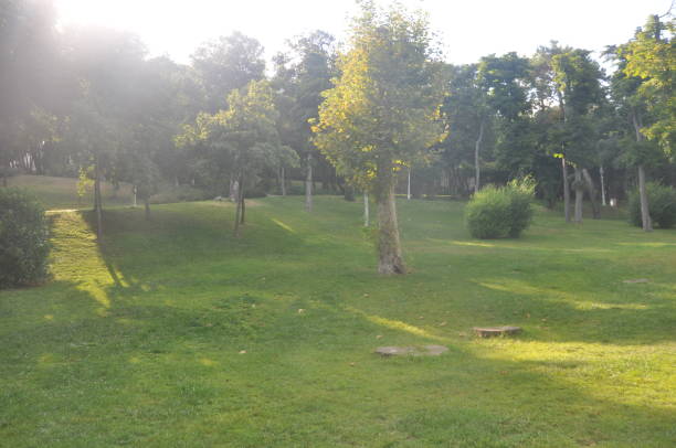 istock A view of green area 1416945312