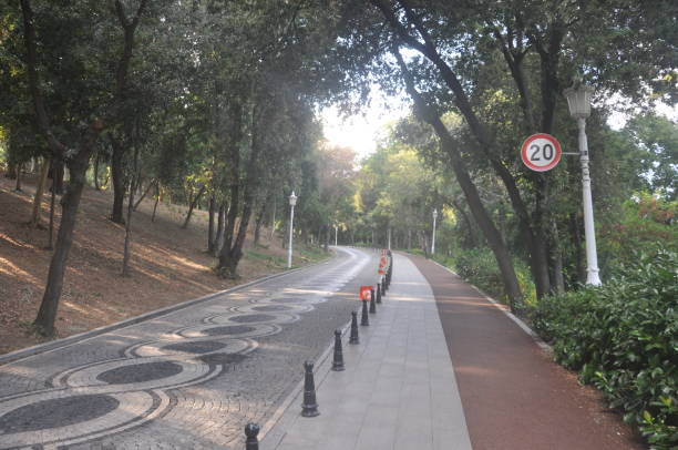istock A road in the park 1416945330