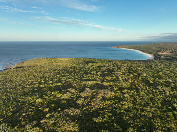 istock Bunker Bay and Leeuwin Naturalist Nationa Parrk 1416946740