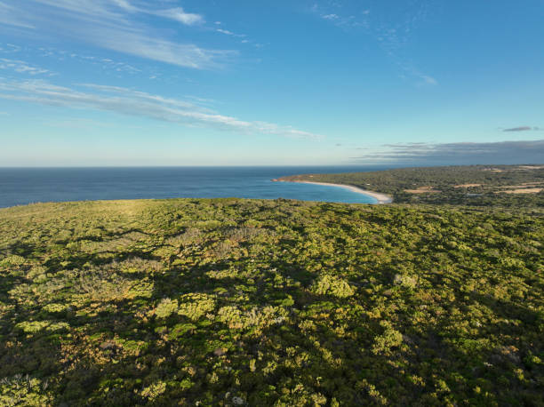 istock Bunker Bay and Leeuwin Naturalist Nationa Parrk 1416946782