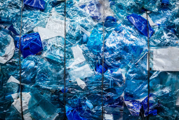 Throwing plastic bottle. Hand throwing bottle in trash cans. Throwing glass in trash bin. Waste sorting for Recycling. Empty glass bottles in trash bin container. Garbage Sorting. Trash bin bucket.