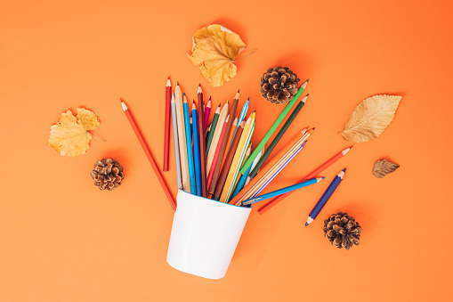 Colorful school supplies with fallen leaves and pin cones on orange background. Back to School and Autumn creativity concept.