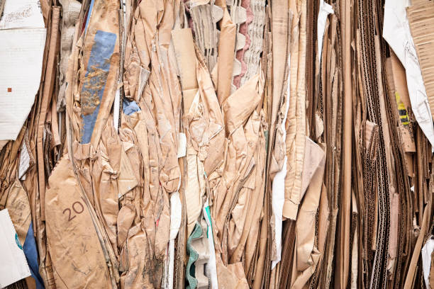 istock Bundles of cardboard sorted for recycling 1416950879