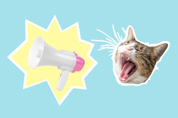 istock Cat head with white-pink megaphone, collage pop art concept design. Minimal advertising background. 1416952266