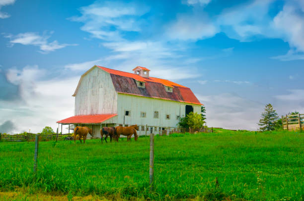 Old barn with horses-Central Ohio