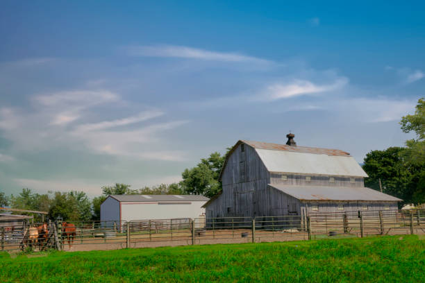 istock Old Weathered barn with horses-Miami County,Indiana 1416954095