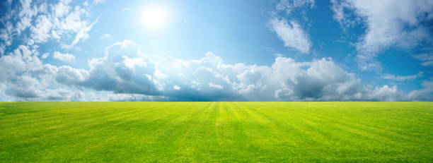 istock Wide format image perfect green lawn on summer sunny day. 1416956456