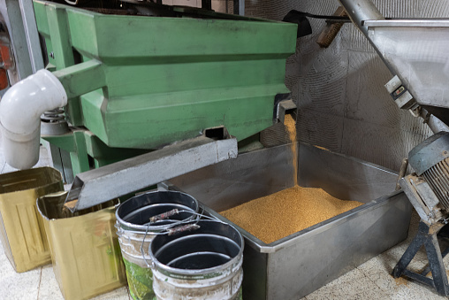 Sesame grinding process in a sesame plant