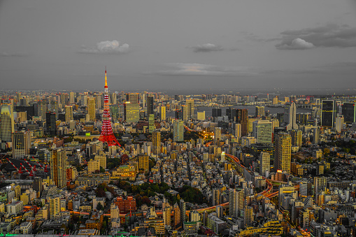 Tokyo Tower and Tokyo Tower. Shooting Location: Tokyo metropolitan area