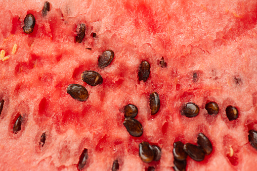 Macro takes a picture of a watermelon.