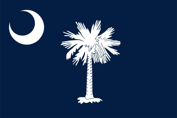 флаг штата южная каролина. векторная иллюстрация. - south carolina flag interface icons symbol stock illustrations