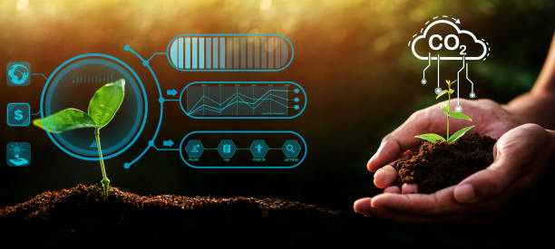 istock Hand of someone holding sapling growing from the soil with digital data info. 1416987860