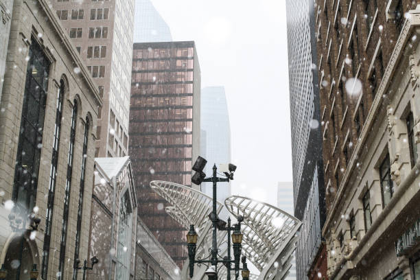 cidade de inverno de calgary - bench winter snow mountain - fotografias e filmes do acervo