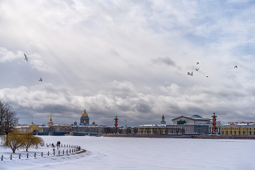 View of Vasilyevsky Island (St. Petersburg, Russia) on a cloudy winter day. The sun shines through a gap in the clouds, warming the birds and the earth with its rays. Relief clouds and white snow