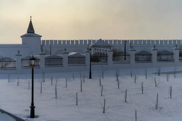 Young planting of fruit trees on the territory of the Tobolsk Kremlin (Siberia, Russia) on a cold winter evening. The battlements of the ancient kremlin, towers and lanterns in the distance