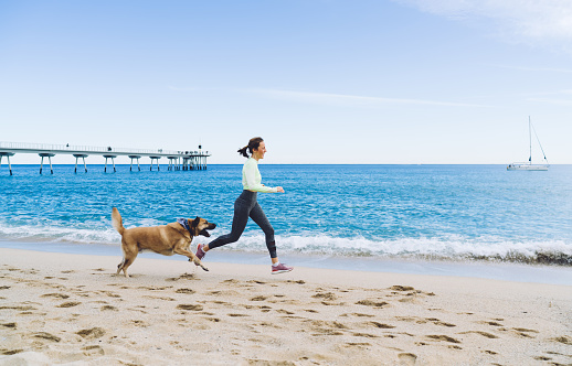 Side view of satisfied female athlete running at seashore with mongrel dog feeling happiness and freedom, carefree woman jogging while walking big doggie pet enjoying leisure weekend at coastline
