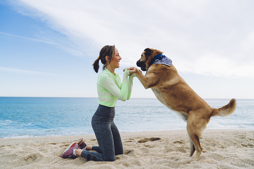 Side view of 40 years old shapely female in sportswear kneeling on sandy coast and holding by paws mongrel ginger dog