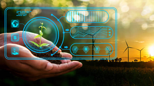 istock Hand of someone holding sapling growing from the soil with digital data info with wind turbine farm background. 1416993916