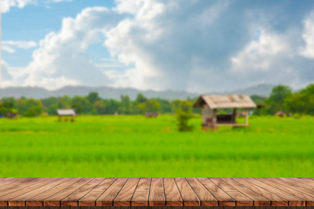 istock Empty wooden table with rice field and blue sky 1416999117