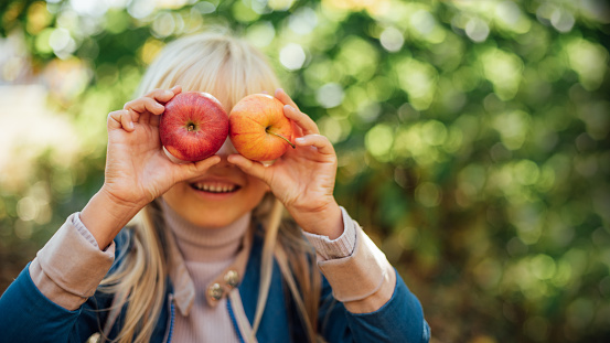 portrait of girl eating red organic apple outdoor. Harvest Concept. Child picking apples on farm in autumn. Children and Ecology. Healthy nutrition Garden Food. Girl holding in front of her face apple