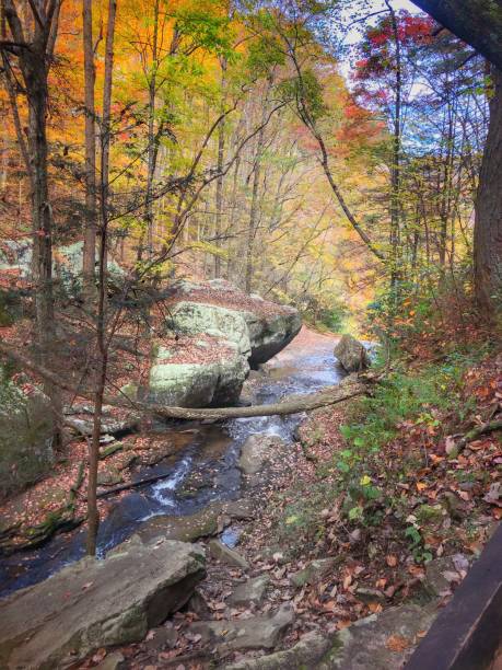 istock Autumn on the Creek 1417005495