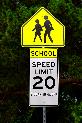 School crosswalk sign warning to slow down on neighborhood street for children safety