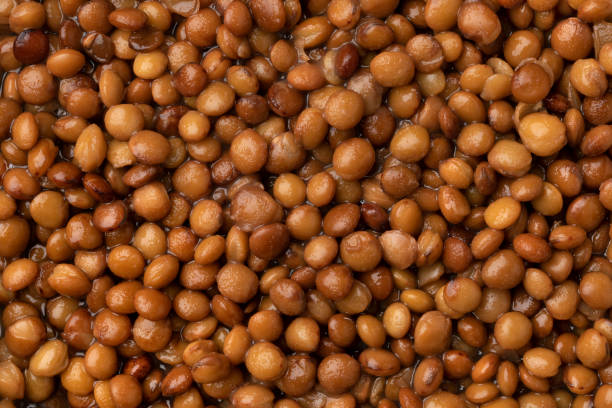 Preserved steamed brown lentils close up full frame