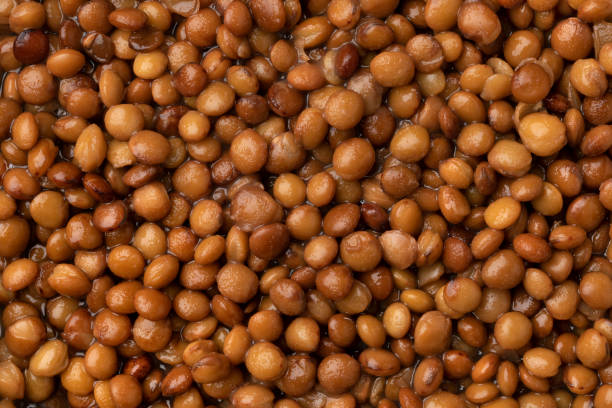 Preserved steamed brown lentils close up full frame stock photo