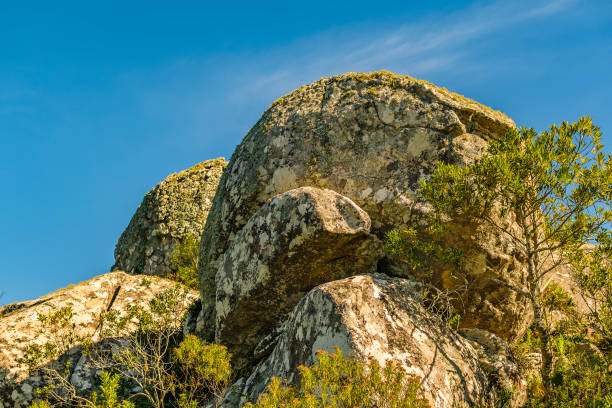 Nha Trang is a coastal resort city in southern Vietnam known for its beaches, diving sites and offshore islands. Its main beach is a long, curving stretch along Tran Phu Street backed by a promenade, hotels and seafood restaurants. Nha Trang is a popular tourist destination of Asia.