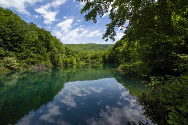 istock Reflection of the forest in the lake 1417012885