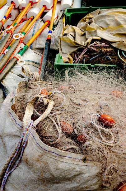 istock Fischer's accessories in the harbour 1417013368
