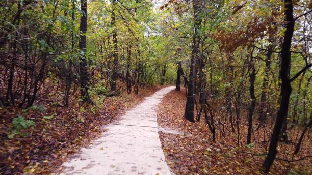 istock Walking on a path in beautiful autumn in the forest 1417013840