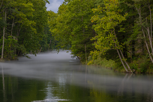 Light summertime low hanging fog over the South Holston River in Tennessee.