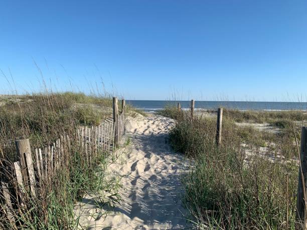 istock Sandy pathway going to the Ocean Isle beach in NC 1417015535