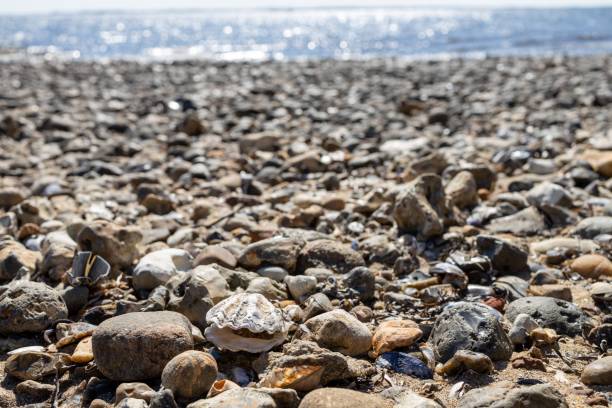 istock Stone beach in sunshin 1417017646
