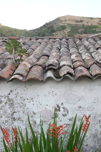 istock Old rooftop in village 1417018219