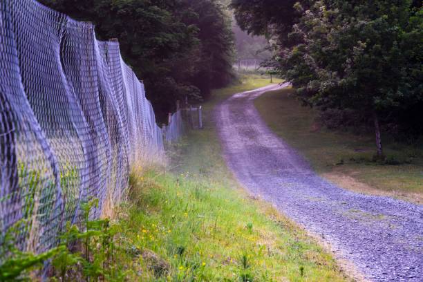 istock Colourful pathway in the rural area 1417018718
