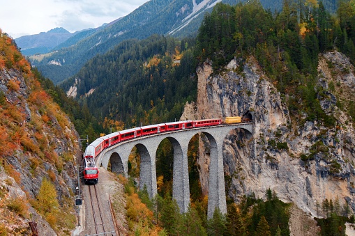 Fall scenery of an RhB train coming out of a tunnel in a roccky cliff and crossing the famous Landwasser Viaduct over a deep gorge with fall colors on the mountainside in Filisur, Grisons, Switzerland