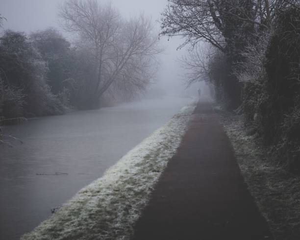 istock Walking path along a river in a forest on a gloomy and rainy day 1417020879