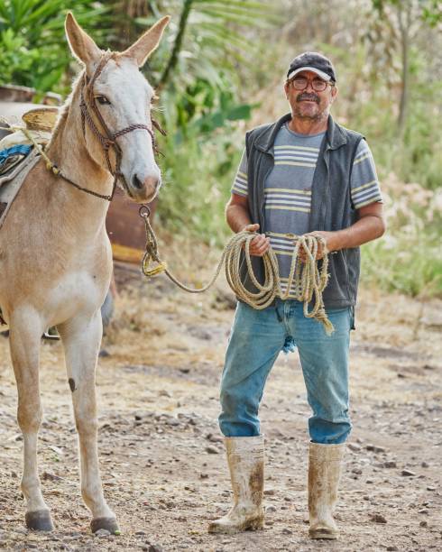 istock Farmer man posing with a horse flipping on camera rural 1417021301