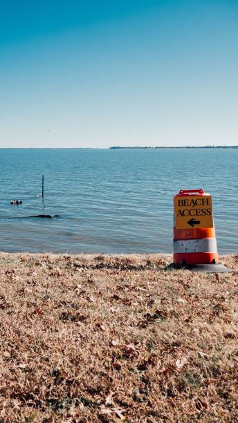 istock Vertical shot of a 