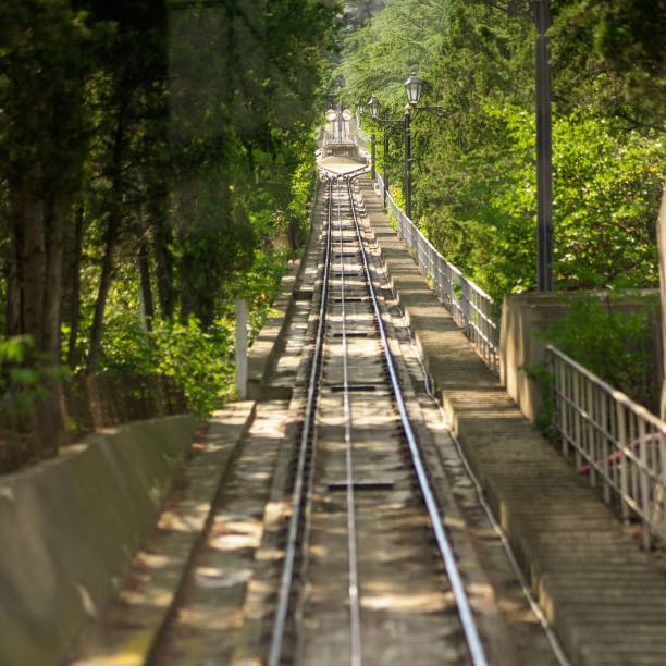 istock Railway in a dense green park under the sun rays 1417025000