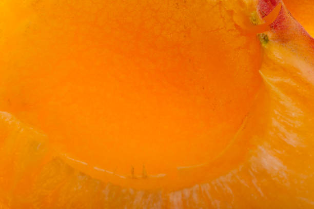 background of apricot close up