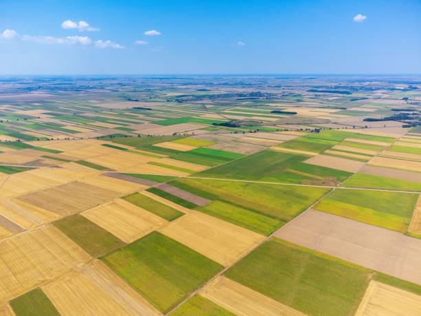 istock field with many cultivated plots seen from above 1417028181