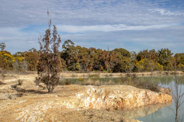 istock Nice little lake on a cloudy day 1417031309
