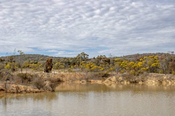istock Nice little lake on a cloudy day 1417031321